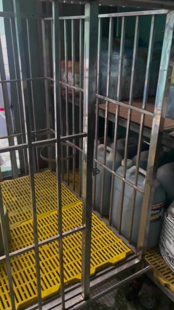 Chuồng chó Inox 304 Lớn Mới. Mua bán Phụ kiện, Thức ăn, Dịch vụ tại Quận 12 Tp Hồ Chí Minh được đăng bởi TÂN HOÀNG MINH hình 1