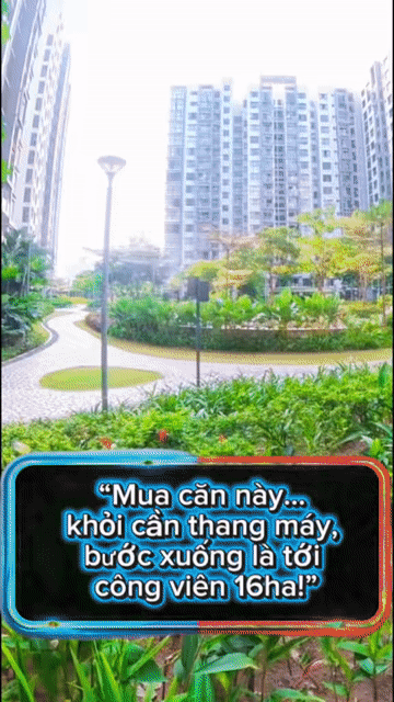 Mua bán Căn hộ Chung cư Celadon City Quận Tân Phú Tp Hồ Chí Minh diện tích 67 m² giá 5,8 tỷ