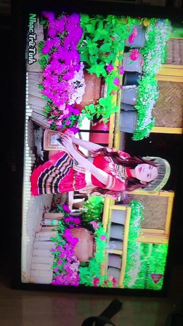 Tivi asanzo &Darling 24 inch chữa cháy coi camera. Mua bán Tivi, Âm thanh tại Huyện Bình Chánh Tp Hồ Chí Minh được đăng bởi Hoàng tv hình 1