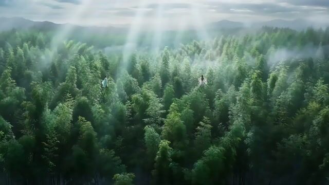 Classical Wuxia Duel in Bamboo Forest