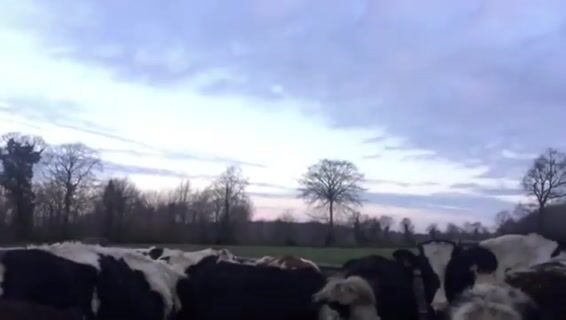 De générations en générations