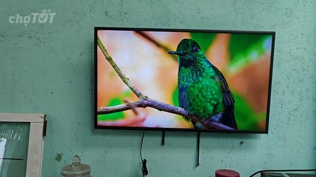 Tivi Samsung 43 inch thông minh. Mua bán Tivi, Âm thanh tại Thành phố Biên Hòa Đồng Nai được đăng bởi Hoàng Văn hình 1