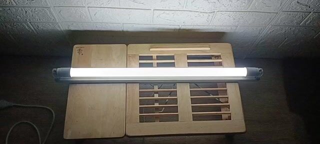 Bộ Đèn Chính Hãng ROMAN 6 Tấc; Chip Led Samsung.. Mua bán Đèn tại Quận Tân Bình Tp Hồ Chí Minh được đăng bởi Bách Hóa Philip hình 1