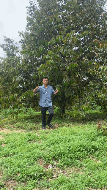 Mua bán Đất Huyện Cư M'gar Đắk Lắk diện tích 54000 m² giá 19 tỷ
