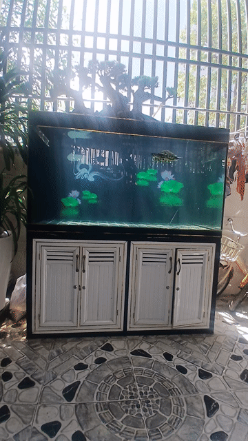 Hồ cá cảnh CMM 1m39x69x79 kính 10ly. Mua bán Phụ kiện, Thức ăn, Dịch vụ tại Thị xã Bến Cát Bình Dương được đăng bởi Mr Cường hình 1