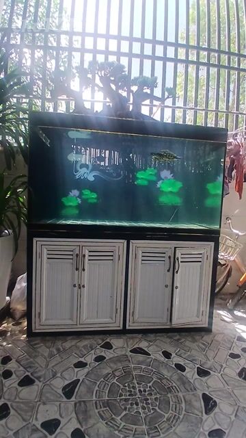 Hồ cá cảnh CMM 1m39x69x79 kính 10ly. Mua bán Phụ kiện, Thức ăn, Dịch vụ tại Thị xã Bến Cát Bình Dương được đăng bởi Mr Cường hình 1