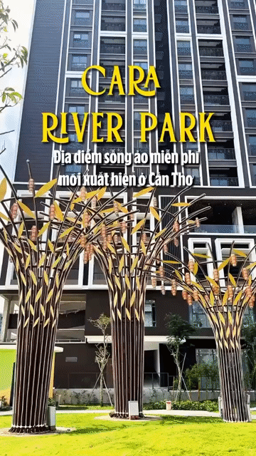 Cho thuê Căn hộ Chung cư Cara River Park Quận Cái Răng Cần Thơ diện tích 86 m² giá 20 triệu/tháng