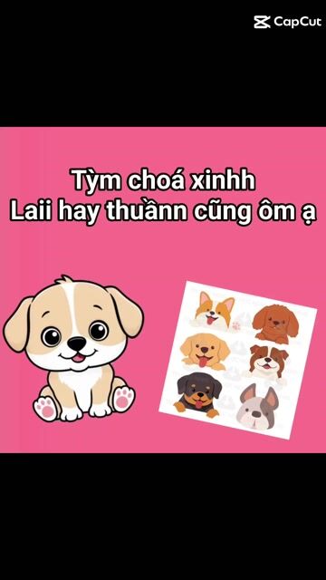 Cần mu.a nhiều cún , ai có gọi em❤️. Mua bán Chó tại Huyện Hóc Môn Tp Hồ Chí Minh được đăng bởi Smile Pet hình 1
