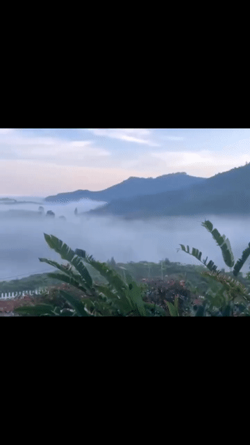 Cho thuê Nhà ở Thành phố Bảo Lộc Lâm Đồng diện tích 1000 m² giá 5,5 triệu/tháng