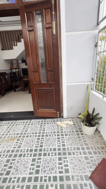 Cho thuê Nhà ở Thành phố Nha Trang Khánh Hòa diện tích 74 m² giá 12 triệu/tháng