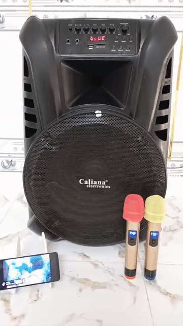 Loa kéo Caliana Bluetooth Đen 2 micro. Mua bán Tivi, Âm thanh tại Thị xã Phú Mỹ Bà Rịa - Vũng Tàu được đăng bởi bak luu hình 1