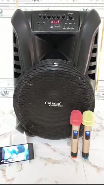 Loa kéo Caliana Bluetooth Đen 2 micro. Mua bán Tivi, Âm thanh tại Thị xã Phú Mỹ Bà Rịa - Vũng Tàu được đăng bởi bak luu hình 1