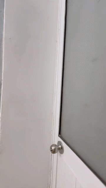 Cho thuê Căn hộ Chung cư Quận Tân Bình Tp Hồ Chí Minh diện tích 40 m² giá 5,99 triệu/tháng