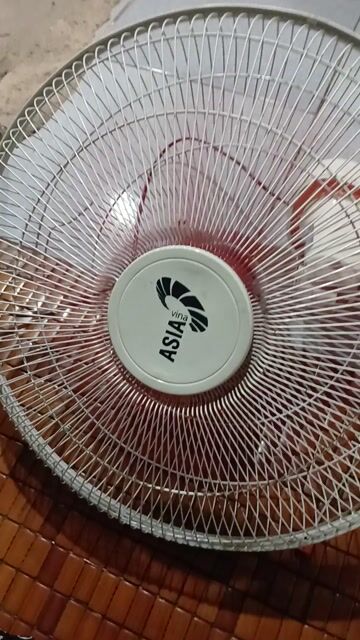 Quạt treo tường ASIA Trắng, Cam đã qua sử dụng. Mua bán Quạt tại Quận Gò Vấp Tp Hồ Chí Minh được đăng bởi Anh manh hình 1