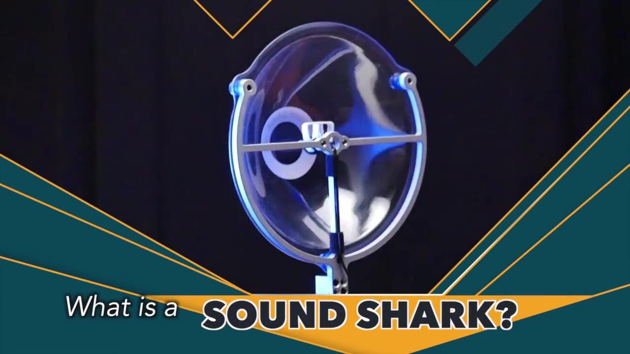Thumbnail image for "What is a Sound Shark?" video