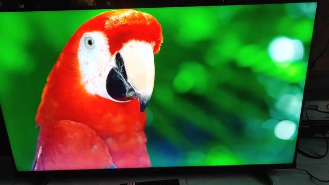 SMART TCL 50IN 4K GIỌNG NÓI BELUTOTH. Mua bán Tivi, Âm thanh tại Huyện Bình Chánh Tp Hồ Chí Minh được đăng bởi pham quang vinh hình 1