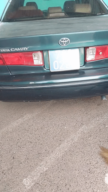 Thanh lý xe TOYOTA CAMRY-2002-Xanh đen, số sàn. Mua bán Ô tô tại Thành phố Vũng Tàu Bà Rịa - Vũng Tàu được đăng bởi Nguyễn Đức Hạnh hình 1