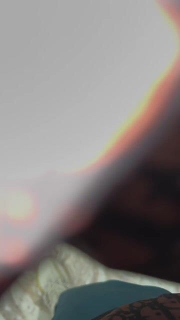 Mèo Tabby chân lùn mèo con. Mua bán Mèo tại Quận Lê Chân Hải Phòng được đăng bởi hoàng gia hình 1