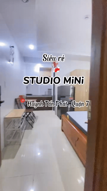 Cho thuê Căn hộ Chung cư Quận 7 Tp Hồ Chí Minh diện tích 30 m² giá 4,1 triệu/tháng