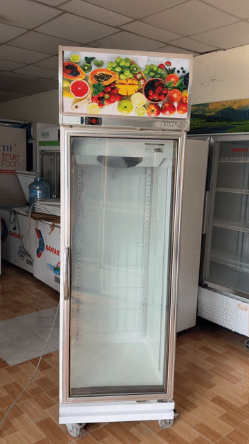 Tủ đông Berjaya 1D/DF-SM-EV 500 lít. Mua bán Tủ lạnh tại Quận 12 Tp Hồ Chí Minh được đăng bởi Hùng điện máy  hình 1