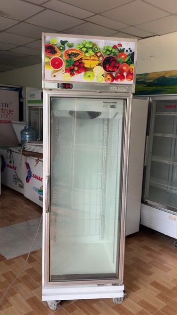 Tủ đông Berjaya 1D/DF-SM-EV 500 lít. Mua bán Tủ lạnh tại Quận 12 Tp Hồ Chí Minh được đăng bởi Hùng điện máy  hình 1