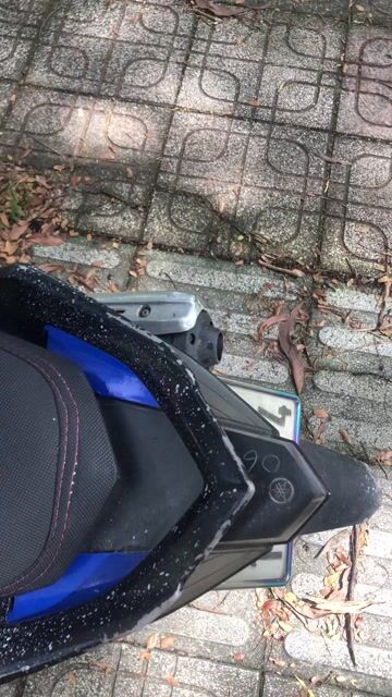 cần bán. Mua bán Xe máy tại Thành phố Thuận An Bình Dương được đăng bởi Tên chưa cung cấp hình 1