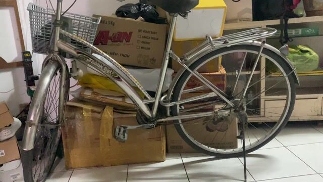 Xe đạp Thành Đạt Kim loại Bạc. Mua bán Xe đạp tại Quận 5 Tp Hồ Chí Minh được đăng bởi Bảo Hiệp Trần hình 1