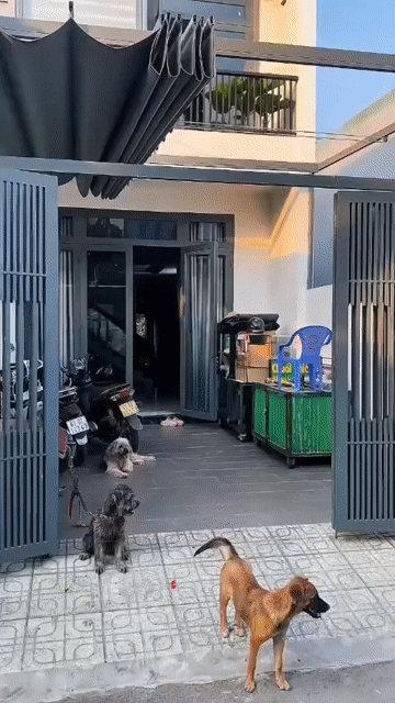 Cho thuê Nhà ở Huyện Vĩnh Cửu Đồng Nai diện tích 94 m² giá 5 triệu/tháng
