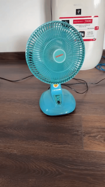Quạt điện Senko Xanh ngọc. Mua bán Quạt tại Quận Tân Bình Tp Hồ Chí Minh được đăng bởi bàucát52 hình 1