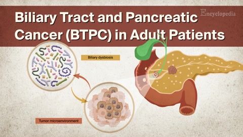 Encyclopedia-Biliary Microbiota in Biliary Tract & Pancreatic Cancer