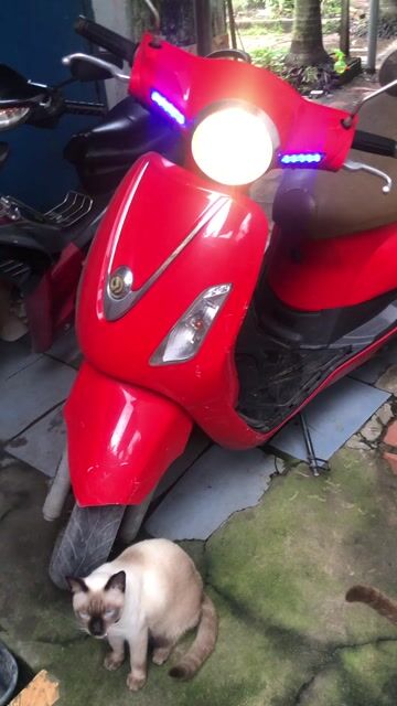 bán xe hư lupe còn lại bình thường. Mua bán Xe máy tại Thành phố Thuận An Bình Dương được đăng bởi Như Ý hình 1