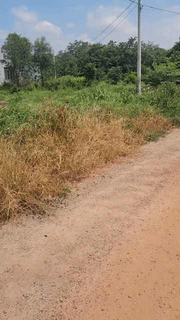 Mua bán Đất Huyện Đồng Phú Bình Phước diện tích 1000 m² giá 249 triệu
