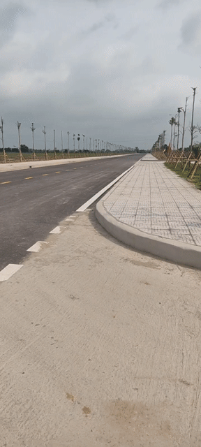 Mua bán Đất Huyện Thái Thụy Thái Bình diện tích 71 m² giá 1,37 tỷ