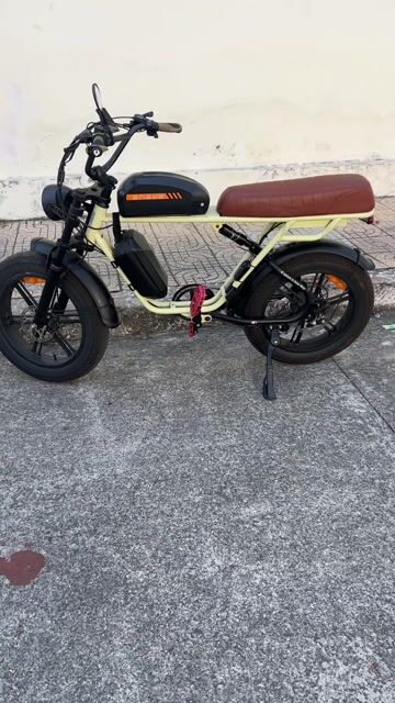 Xe đạp điện Engwe M1 còn Bh 8 tháng odo 200km. Mua bán Xe điện tại Quận 10 Tp Hồ Chí Minh được đăng bởi Tranlttam hình 1