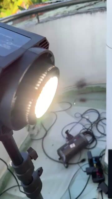 Đèn LED BEDIRO Đen Thanh lý. Mua bán Đèn tại Quận Tân Bình Tp Hồ Chí Minh được đăng bởi Quân hình 1