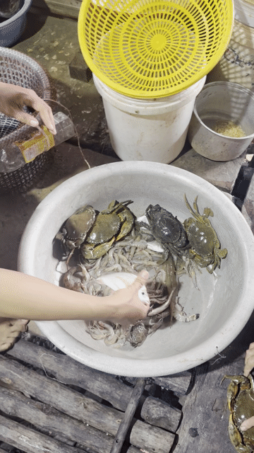 Cua gạch thịt chắc gạch đầy tự nhiên. Mua bán Đồ ăn, thực phẩm và các loại khác tại Quận Tân Phú Tp Hồ Chí Minh được đăng bởi Thương hình 1