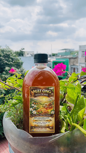 Mật ong Hoa cà phê 1000ml. Mua bán Đồ ăn, thực phẩm và các loại khác tại Quận 12 Tp Hồ Chí Minh được đăng bởi Ngô Hằng hình 1