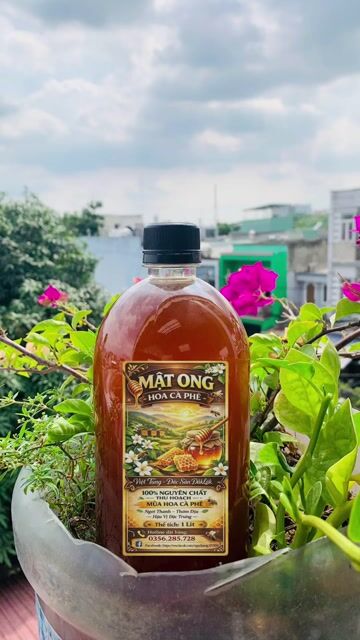 Mật ong Hoa cà phê 1000ml. Mua bán Đồ ăn, thực phẩm và các loại khác tại Quận 12 Tp Hồ Chí Minh được đăng bởi Ngô Hằng hình 1