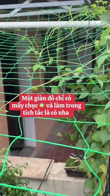 Lưới làm giàn leo Nhựa Xanh lá. Mua bán Cây cảnh, đồ trang trí tại Thành phố Dĩ An Bình Dương được đăng bởi Viktor Le hình 1