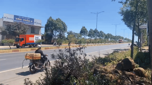 Cho thuê Văn phòng, Mặt bằng kinh doanh Thành phố Buôn Ma Thuột Đắk Lắk diện tích 100 m² giá 6 triệu/tháng