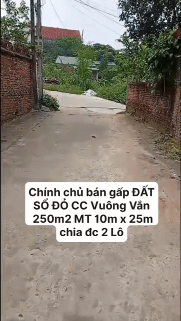 Mua bán Đất Huyện Việt Yên Bắc Giang diện tích 250 m² giá 2,5 tỷ