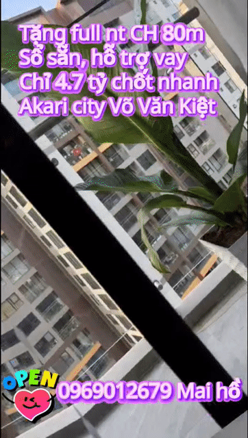 Mua bán Căn hộ Chung cư Akari City Quận Bình Tân Tp Hồ Chí Minh diện tích 80 m² giá 4,7 tỷ
