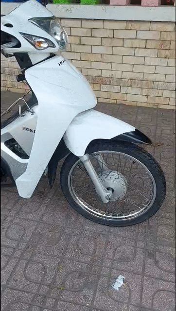 Honda Wave C9 2017 Trắng. Mua bán Xe máy tại Quận 7 Tp Hồ Chí Minh được đăng bởi Gia Bảo  hình 1