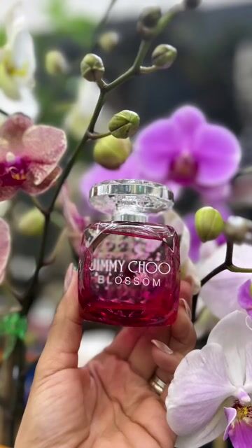 Jimmy Choo Blossom Jimmy Choo аромат - аромат для жінок 2015
