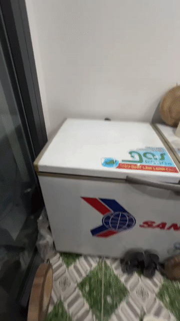 Tủ đông SANAKY VH-3699A3. Mua bán Tủ lạnh tại Huyện Trảng Bom Đồng Nai được đăng bởi Huynh Liem hình 1