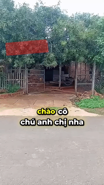 Mua bán Đất Huyện Chư Pưh Gia Lai diện tích 5900 m² giá 3,8 tỷ