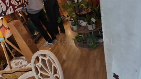 Bulle de nature, designer végétal