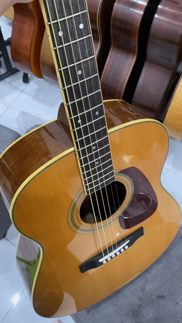 Đàn guitar acoustic Morris MF251 Nâu vàng Nhật Bản. Mua bán Nhạc cụ tại Quận Liên Chiểu Đà Nẵng được đăng bởi Cửa hàng guitar thanh lý giá rẻ hình 1