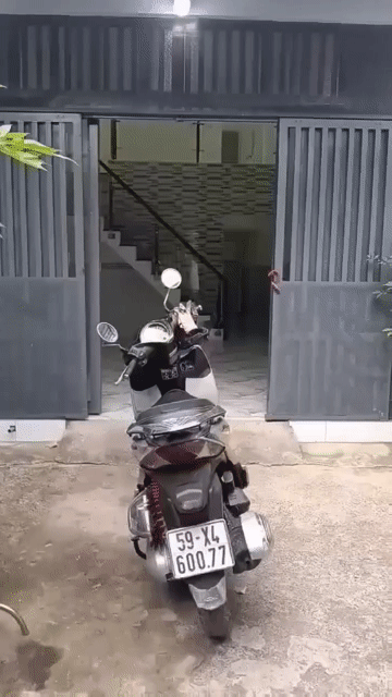 Mua bán Nhà ở Huyện Hóc Môn Tp Hồ Chí Minh diện tích 52 m² giá 1,38 tỷ