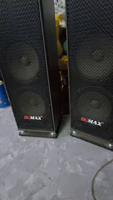 Loa DUMAX màu Nâu, Đen. Mua bán Tivi, Âm thanh tại Huyện Tuy Phước Bình Định được đăng bởi Thức hình 1